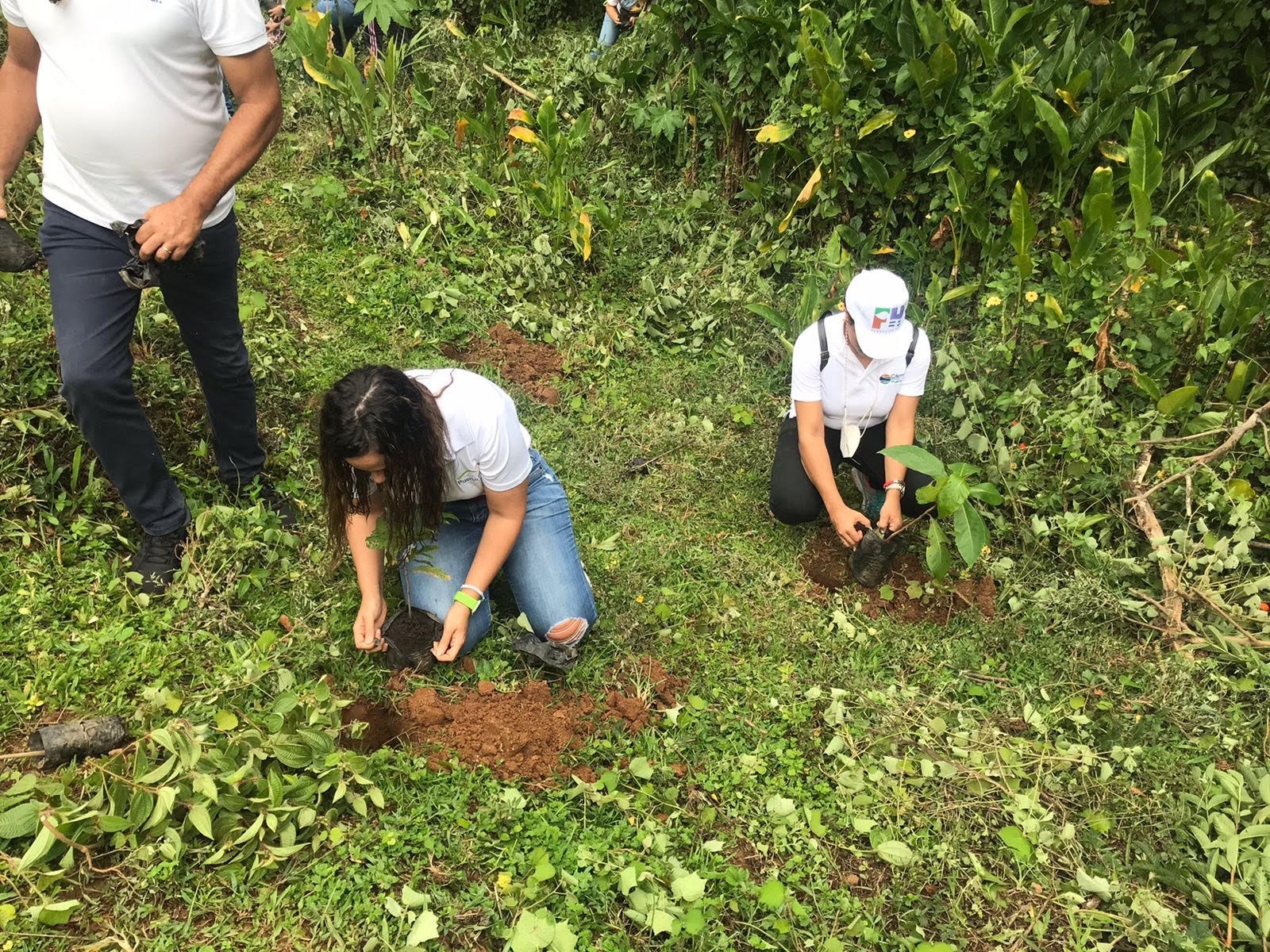 Cámara de Comercio de PuertoPlata conmemora mes del medio ambiente con jornada de reforestación