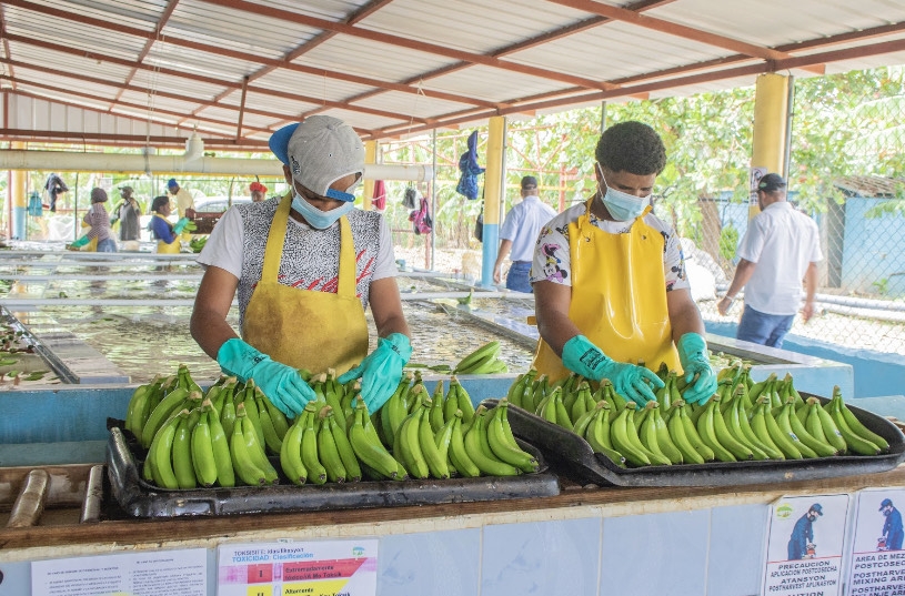 Presentan Proyecto para fortalecer sector agroproductivo de la Línea Noroeste