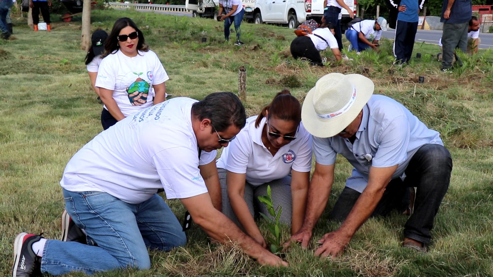 Coraasan y Medio Ambiente realizan jornada de siembra en la zona norte de Santiago