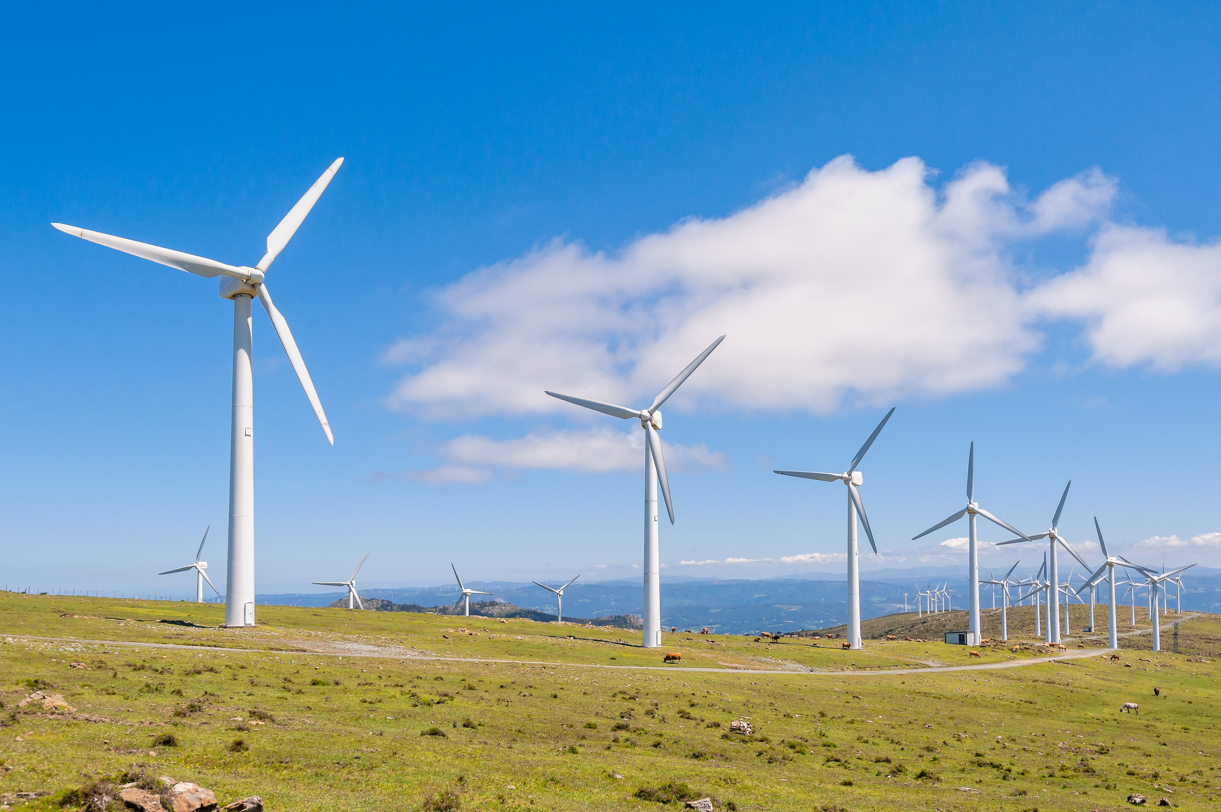 ADIE e INTEC organizan el foro más importante de RD sobre la reforma del sector eléctrico