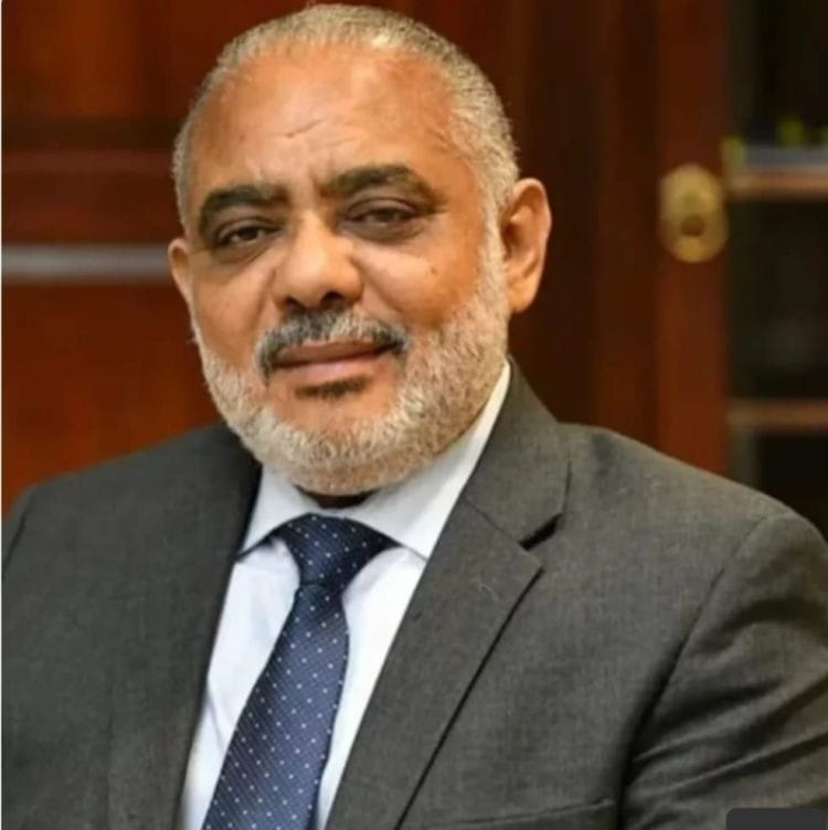 Teodoro Tejada califica de político el rechazo de la Fuerza del Pueblo al monorriel de Santo Domingo
